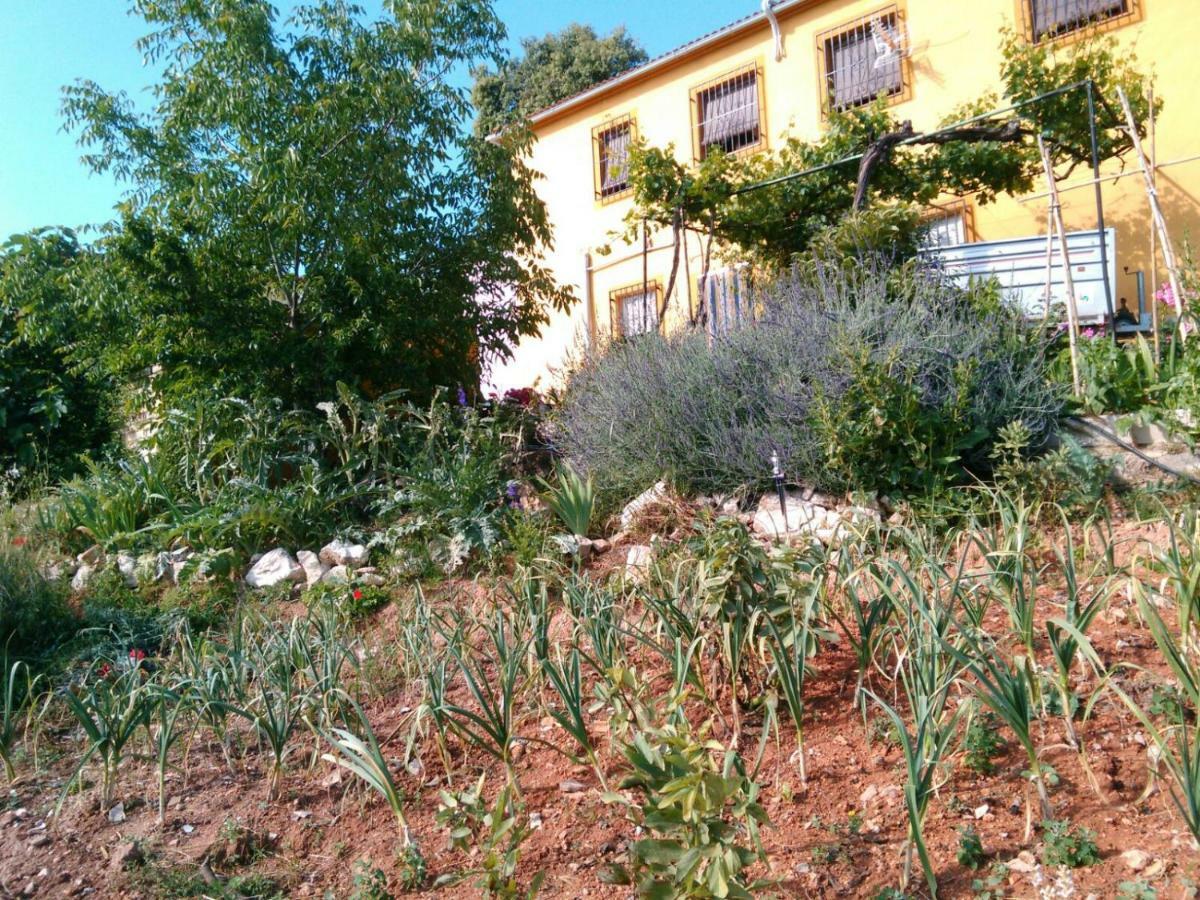 伊斯纳哈尔Cortijo De La Cruz别墅 外观 照片
